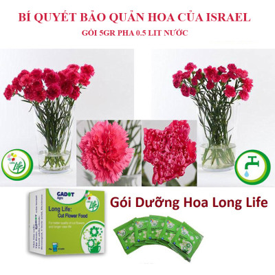 Bột Dưỡng Hoa Cắt Cành Longlife - Food for Cut Flowers - nhập khẩu ISRAEL (COMBO 100 gói tiết kiệm) giúp hoa tươi gấp 2 lần và 14 ngày không thay nước hay cắt tỉa lại gốc hoa