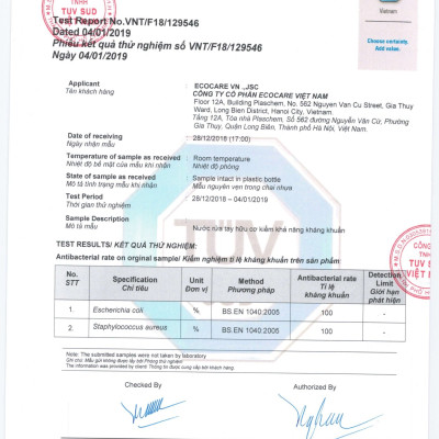 Nước rửa tay hữu cơ diệt khuẩn dạng bọt hương Cam 4Ll thương hiệu Ecocare