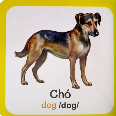 Từ Điển Bằng Hình Đầu Tiên Của Bé - Baby