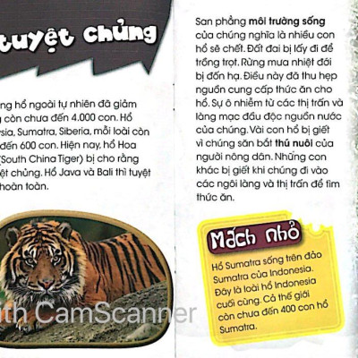 Độc Lạ Phi Thường - Bên Bờ Tuyệt Chủng