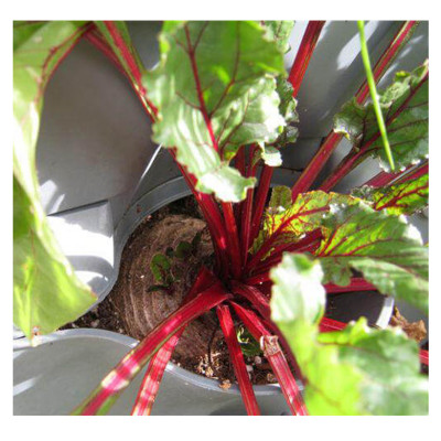 CHẬU MODULE TRỒNG RAU BAN CÔNG NHẬP KHẨU BỒ ĐÀO NHA (1 BỘ gồm 1 Module + Nắp đậy + 6 nút khóa)