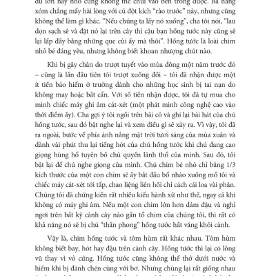 12 Quy Luật Cuộc Đời: Thần Dược Cho Cuộc Sống Hiện Đại