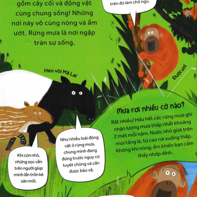 	Những Câu Hỏi Tò Mò Và Giải Đáp Thú Vị Về Rừng Mưa _HH