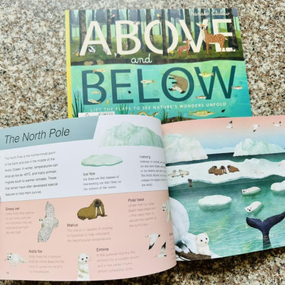 [THIÊN NHIÊN DIỆU KỲ] - Trên Và Dưới - Sách Song Ngữ