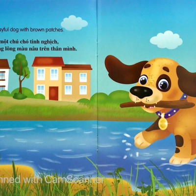 Bộ Sách Những Câu Chuyện Về Thế Giới Loài Vật 2 (Bộ 6 Cuốn)