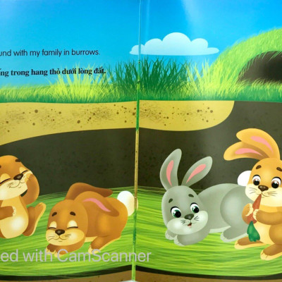 Bộ Sách Những Câu Chuyện Về Thế Giới Loài Vật 2 (Bộ 6 Cuốn)