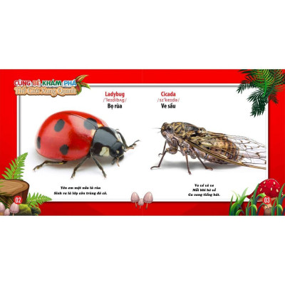 Sách - Cùng Bé Khám Phá Thế Giới Xung Quanh Thế Giới Côn Trùng - Song Ngữ Anh Việt - Việt Thư