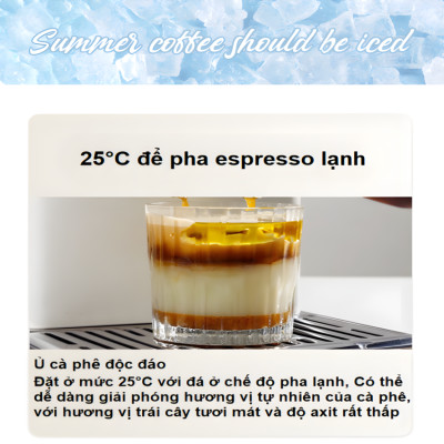Máy pha cà phê Espresso chuyên nghiệp thương hiệu Mỹ cao cấp HiBREW H10 Plus - Hàng Nhập Khẩu