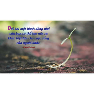 Sách -  Gieo niềm tin cuộc sống (Tái bản 2021) - First News