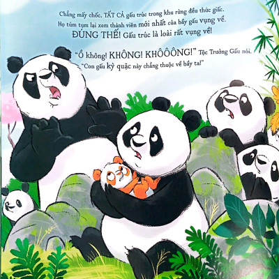 Sách - Gấu Trúc Mứt Cam