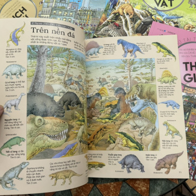 COMBO 6 CUỐN THỬ TÀI TÌM KIẾM – Rosie Heywood & Kamini Khanduri– Thanh Loan dịch -Đông A- NXB Dân Trí 