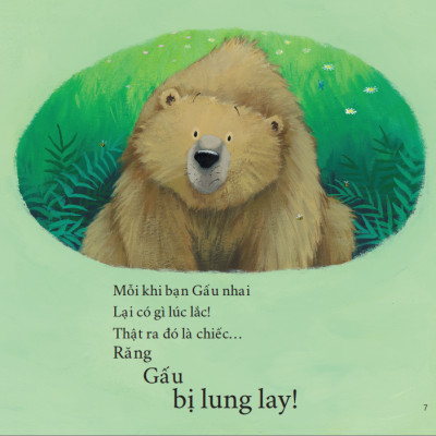 Sách tranh song ngữ Gấu thay răng - Ehomebooks