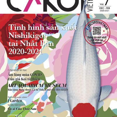 Cá Koi Vietnam - Combo 3 cuốn (Tập 7, 8, 9)