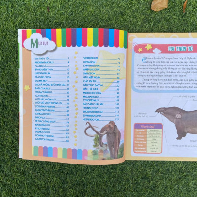 Combo sách Bách Khoa Động Vật Dành Cho Trẻ Nhỏ: Thú Cưng + Côn Trùng + Khủng Long + Động Vật Tiền Sử 