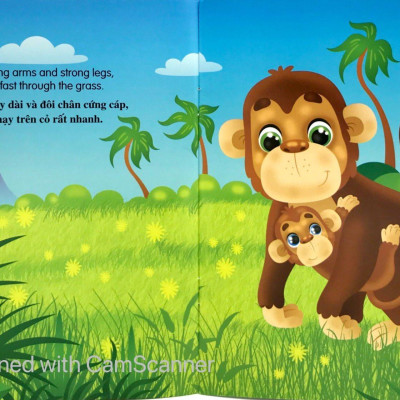 Bộ Sách Những Câu Chuyện Về Thế Giới Loài Vật 2 (Bộ 6 Cuốn)