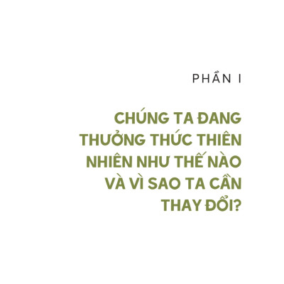 Vẻ Đẹp Của Cảnh Sắc Tầm Thường - Hay Vì Sao Chúng Ta Cần Thay Đổi Cách Thưởng Thức Thiên Nhiên - AL