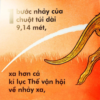 Chuột Túi Nhảy Xa Chừng Nào?