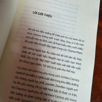 (Combo 2 Tập) CÁNH CỬA MỞ RỘNG – NÚI THẦN - Thomas Mann – Nguyễn Hồng Vân dịch – NXB Trẻ
