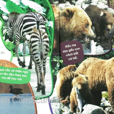 Độc Lạ Phi Thường - Thú Con Bé Bỏng