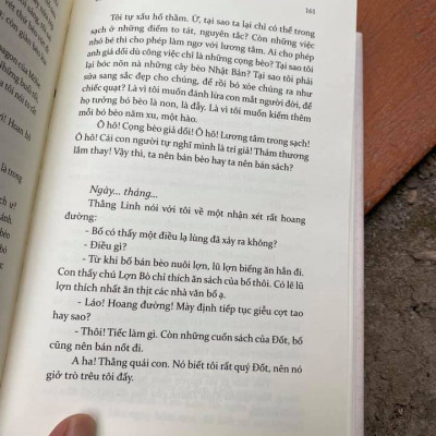 CHUYỆN NGÕ NGHÈO (Trư cuồng) - Bìa cứng