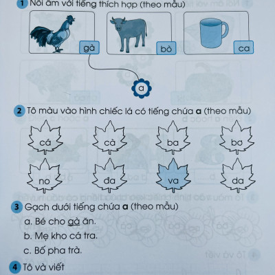 Sách - Vở bài tập - Thực hành Tiếng Việt lớp 1 tập 1+2 (Kết nối tri thức với cuộc sống)