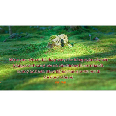 Sách -  Gieo niềm tin cuộc sống (Tái bản 2021) - First News