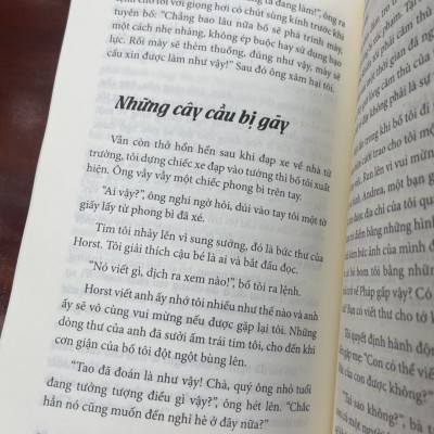 CON GÁI CỦA CHIM PHƯỢNG HOÀNG -