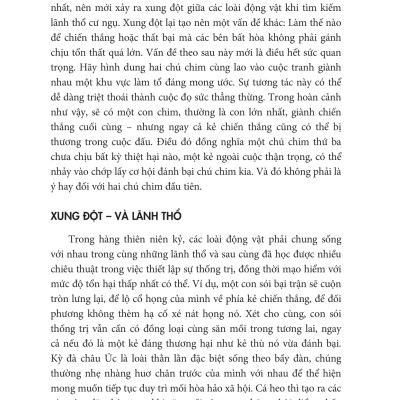 12 Quy Luật Cuộc Đời: Thần Dược Cho Cuộc Sống Hiện Đại