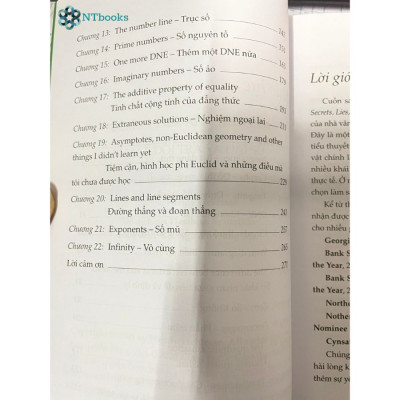 Combo 2 Cuốn Sách Mật Mã Trên Tường + Bí Mật, Dối Trá Và Đại Số – Wendy Lichtman (Song ngữ Anh – Việt)