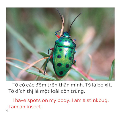 Song Ngữ Việt Anh - Khám Phá Thế Giới - Loài Nào Là Côn Trùng Nhỉ? - Who Is The Insect?