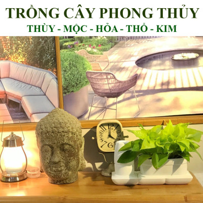 Chậu Để Bàn Thông Minh Tự Động Tưới và Tự động bón phân trong 2 tháng Minigarden Basic S Pots (1 bộ gồm 1 bình chứa nước, 2 chậu trồng và 3 túi dinh dưỡng). Phù hợp trồng cây trong gia đình, văn phòng với thiết kế gọn nhẹ, sang trọng và ít chăm sóc cây