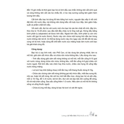 Sách - Cây thuốc V,iệt Nam trồng hái chế biến tr,ị bệnh ban đầu (bìa cứng) ( MT)