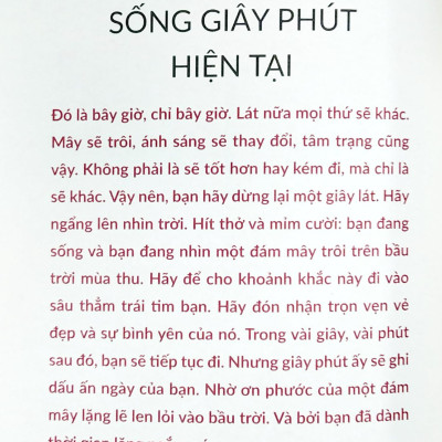 Thiền Định Mỗi Ngày - Một Cẩm Nang Nhỏ Giúp Luôn Sống Trong Tỉnh Thức