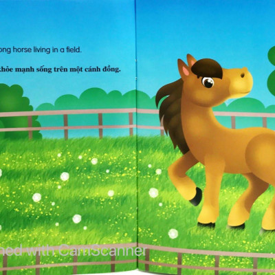 Bộ Sách Những Câu Chuyện Về Thế Giới Loài Vật 1 (Bộ 6 Cuốn)