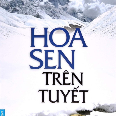 Bộ Sách Nguyên Phong - Combo Trọn Bộ 15 Cuốn Sách Tác Giả Nguyên Phong - Hành Trình Tâm Linh Thức Tỉnh - Bìa Mềm - First News