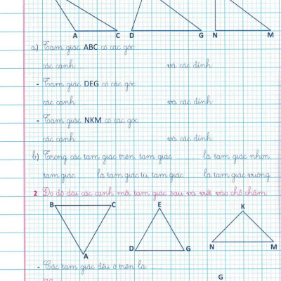 Sách - Vở Ô Li Bài Tập Toán 5/2 (Bám Sát SGK Cánh Diều)