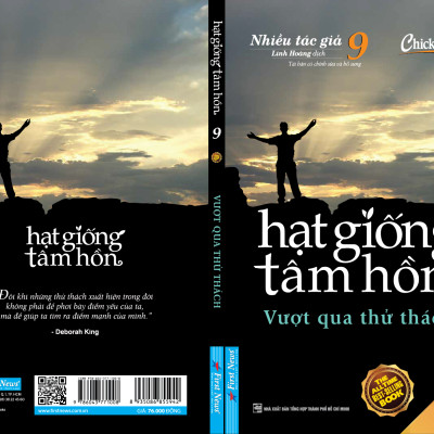 Hạt Giống Tâm Hồn 9 (Tái Bản)