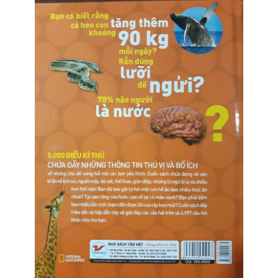 Sách - 5000 Điều Kì Thú - Về Tất Cả Mọi Thứ - Tân Việt Books