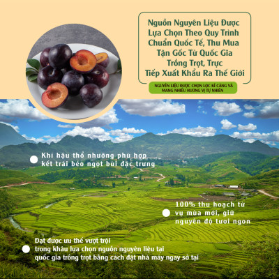 Mận Khô 120g  Dan D Pak