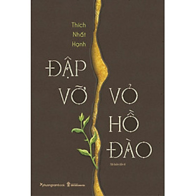 Đập Vỡ Vỏ Hồ Đào (Tái bản năm 2024)