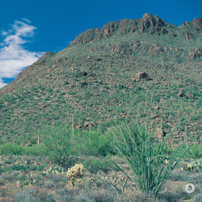 Song Ngữ Việt Anh - Khám Phá Thế Giới - Ở Vùng Đất Khô Cằn - In A Dry Land