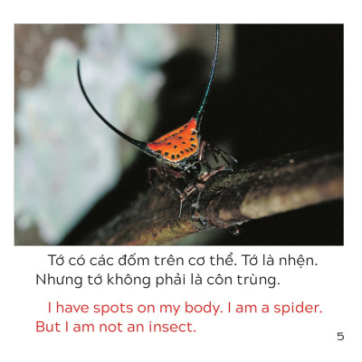 Song Ngữ Việt Anh - Khám Phá Thế Giới - Loài Nào Là Côn Trùng Nhỉ? - Who Is The Insect?
