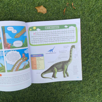 Combo sách Bách Khoa Động Vật Dành Cho Trẻ Nhỏ: Thú Cưng + Côn Trùng + Khủng Long + Động Vật Tiền Sử 