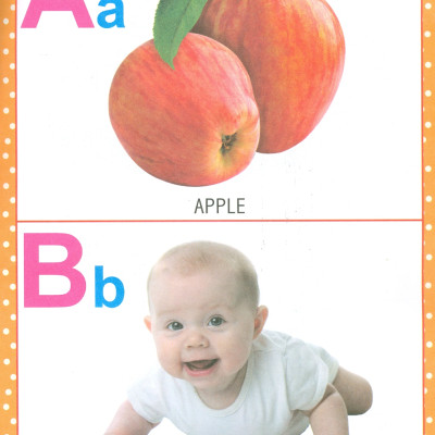 My First Early Learning - Alphabet Book (Bài học đầu tiên của tôi - Sách về bảng chữ cái)