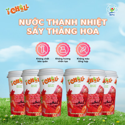 [COMBO 6 LY] iChill Dâu Tây Atiso Đỏ Nước Thanh Nhiệt Sấy Thăng Hoa Từ Trái Cây Tự Nhiên