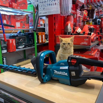 MÁY TỈA HÀNG RÀO DÙNG PIN (600MM/BL)(18V) MAKITA DUH602Z (KHÔNG KÈM PIN VÀ SẠC) - HÀNG CHÍNH HÃNG