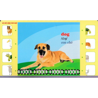 Sách - Bộ Thẻ Học Tiếng Anh - Phát Triển Trí Tuệ Cho Trẻ - Động Vật Nuôi - Hồng Ân