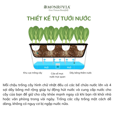 Kệ trồng rau tự tưới D202 MONROVIA cho rau, hoa, có bánh xe di chuyển thuận lợi