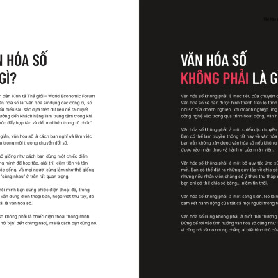 Văn Hoá Số - Gỡ Bỏ Rào Cản Trong Chuyển Đổi Số - AL