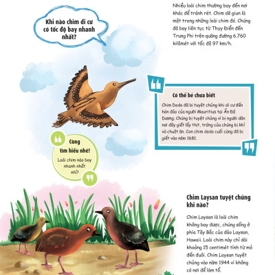 When? Bố Mẹ Ơi Khi Nào…? Những Câu Hỏi When Giúp Con Tò Mò Sáng Tạo?